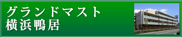 グランドマスト横浜鴨居